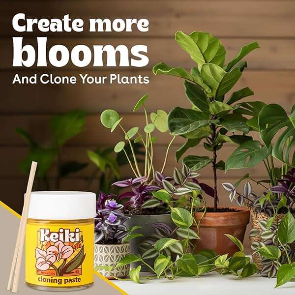Keiki Paste for Plants to Clone & Create New Growth — 2X The Paste Cloning Gel for Orchids & Houseplants, Rooting Hormone Paste for Cuttings, Plant Propagation Gel, Nutrient Rich Growth Gel, 0.5 oz - Image 2