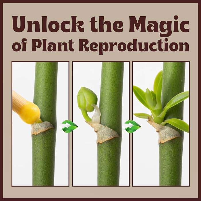 Keiki Paste for Plants to Clone & Create New Growth — 2X The Paste Cloning Gel for Orchids & Houseplants, Rooting Hormone Paste for Cuttings, Plant Propagation Gel, Nutrient Rich Growth Gel, 0.5 oz - Image 4