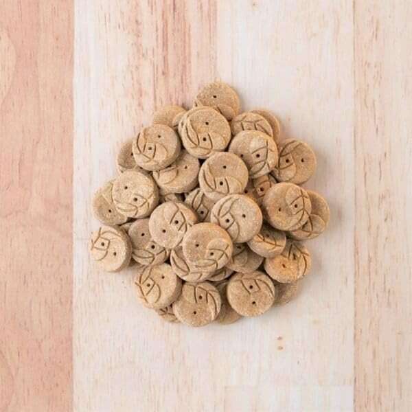 Earthborn Holistic EarthBites Crunchy Grain-Free Dog Treats with Lamb 10 oz - Image 2