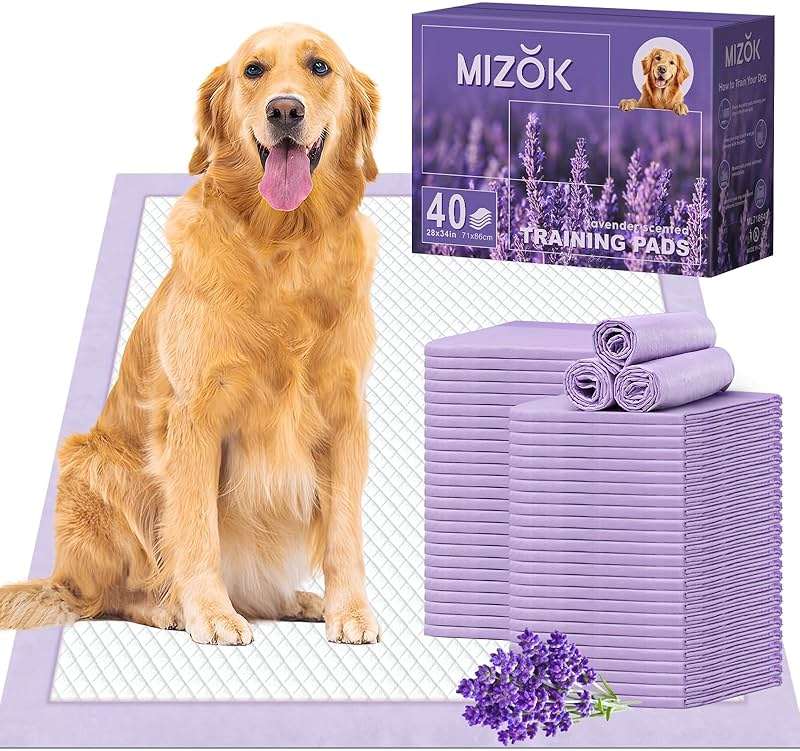 MIZOK Puppy Pads 28x34in Lavender Scented, Dog Pee Pads Extra Large Odor Eliminating Ultra Absorbent Up to 8 Cups, 6 Layers Leak-Proof & Quick-Dry Purple (40 Counts) - Image 1