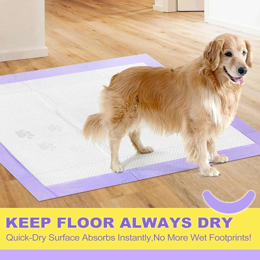 MIZOK Puppy Pads 28x34in Lavender Scented, Dog Pee Pads Extra Large Odor Eliminating Ultra Absorbent Up to 8 Cups, 6 Layers Leak-Proof & Quick-Dry Purple (40 Counts) - Image 6