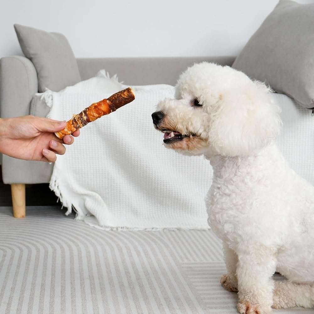 MON2SUN Dog Treats, Triple Flavor 6 Inch Chicken Liver Duck and Chicken Wrapped Rawhide Sticks, Teeth Cleaning Snacks for Medium Dogs, 17.6 oz (10 Count-Pack of 1) - Image 5