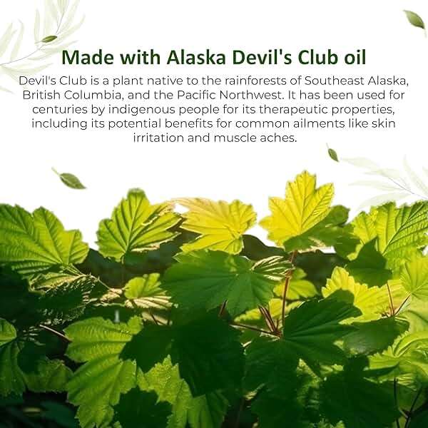 Snowy Summit Devil's Club 2X Salve Stick - All-Natural, Handcrafted Herbal Salve for Mess-Free Application - Muscle Rub In Stick Form with Light Herbal Scent and Portable Design - Image 6