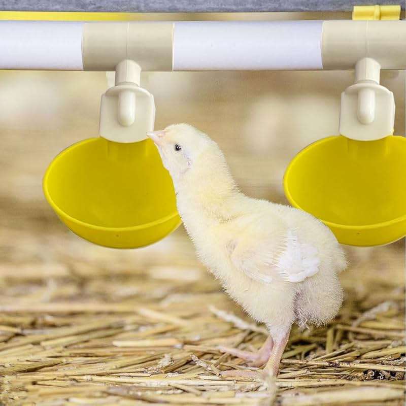 Complete Set Pipeline Automatic Chicken Watering System, 1/2" PVC Tee Fittings & PVC Pipe & Garden Hose, Chicken Water Cups, Poultry Waterer, Automatic Chicken Waterer, Chicken Nipple Waterer - Image 6