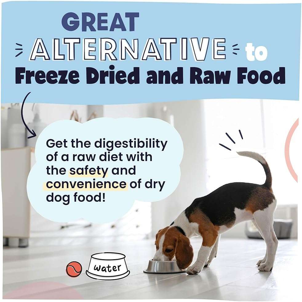 Pawstruck Air Dried Dog Food with Real Beef, Grain-Free, Made in USA, Non-GMO & Vet Recommended, High Protein Limited Ingredient Full-Feed for All Breeds & Ages, 2lb Bag - Image 6