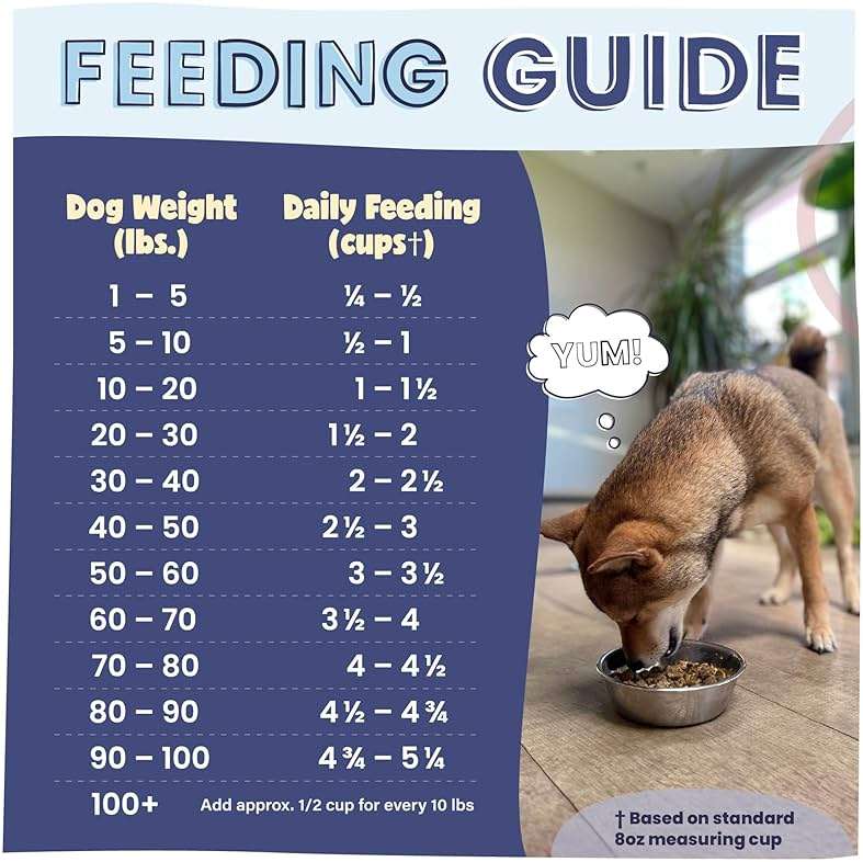 Pawstruck Air Dried Dog Food with Real Beef, Grain-Free, Made in USA, Non-GMO & Vet Recommended, High Protein Limited Ingredient Full-Feed for All Breeds & Ages, 2lb Bag - Image 7