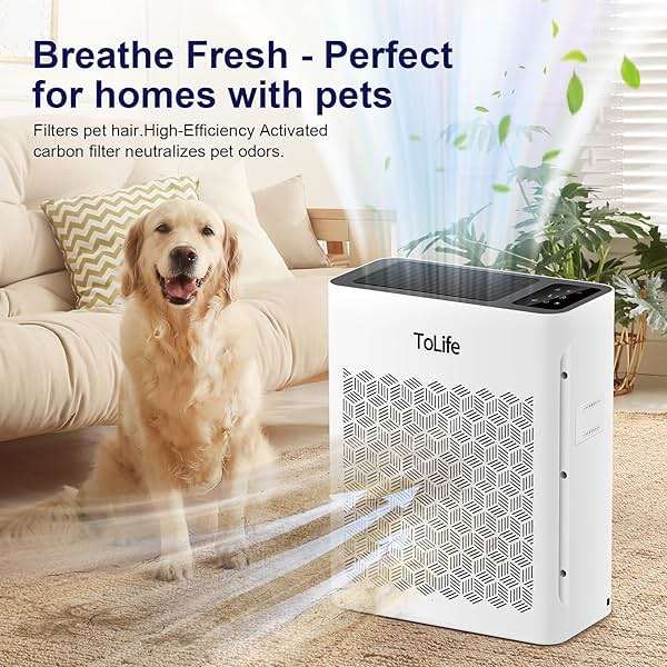 Tolife Air Purifier Large Room, HEPA Air Purifiers for Home Pets Hair with Washable Filter, Air Cleaner for Bedroom up to 1095 Ft² Dust Smoke Odor, Sleep Mode, Timer, White - Image 2