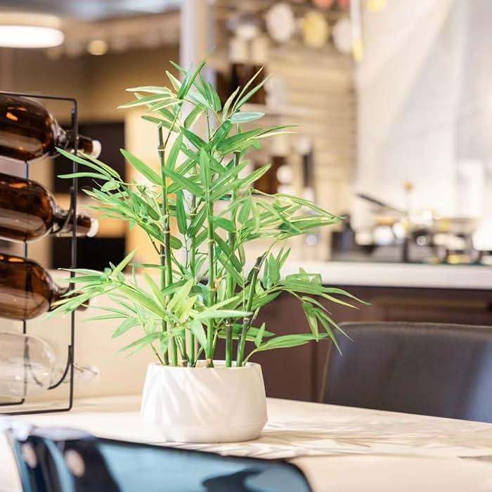 365 Blooming Decor 18 inch Tall White Potted Artificial Bamboo Plant- Luxury Artificial Bamboo Tree in White Pot for Home, Office, Kitchen, Counter Top, Indoor Decor, Money Tree, Lucky Tree. - Image 2
