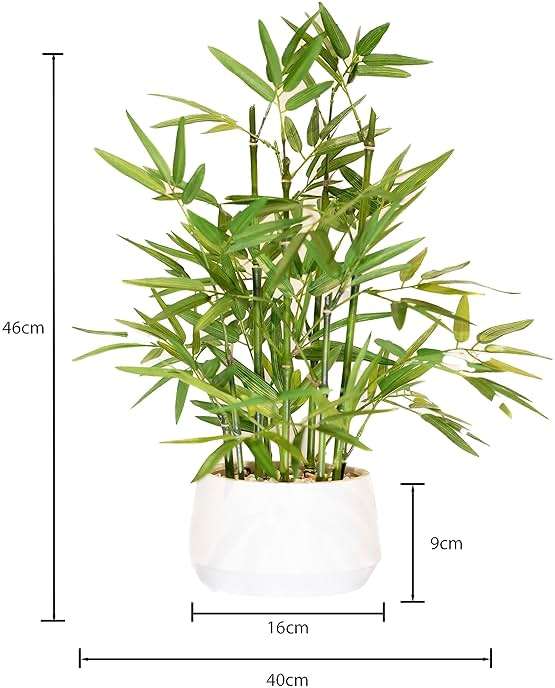 365 Blooming Decor 18 inch Tall White Potted Artificial Bamboo Plant- Luxury Artificial Bamboo Tree in White Pot for Home, Office, Kitchen, Counter Top, Indoor Decor, Money Tree, Lucky Tree. - Image 3