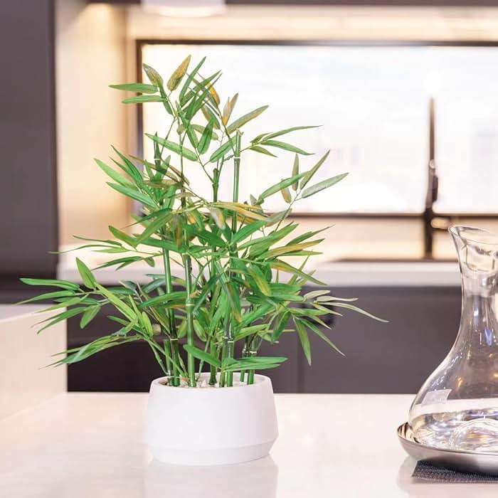 365 Blooming Decor 18 inch Tall White Potted Artificial Bamboo Plant- Luxury Artificial Bamboo Tree in White Pot for Home, Office, Kitchen, Counter Top, Indoor Decor, Money Tree, Lucky Tree. - Image 4