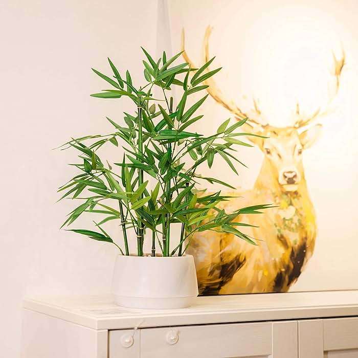 365 Blooming Decor 18 inch Tall White Potted Artificial Bamboo Plant- Luxury Artificial Bamboo Tree in White Pot for Home, Office, Kitchen, Counter Top, Indoor Decor, Money Tree, Lucky Tree. - Image 7