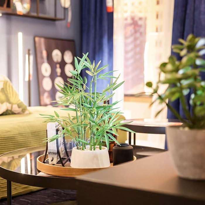 365 Blooming Decor 18 inch Tall White Potted Artificial Bamboo Plant- Luxury Artificial Bamboo Tree in White Pot for Home, Office, Kitchen, Counter Top, Indoor Decor, Money Tree, Lucky Tree. - Image 9