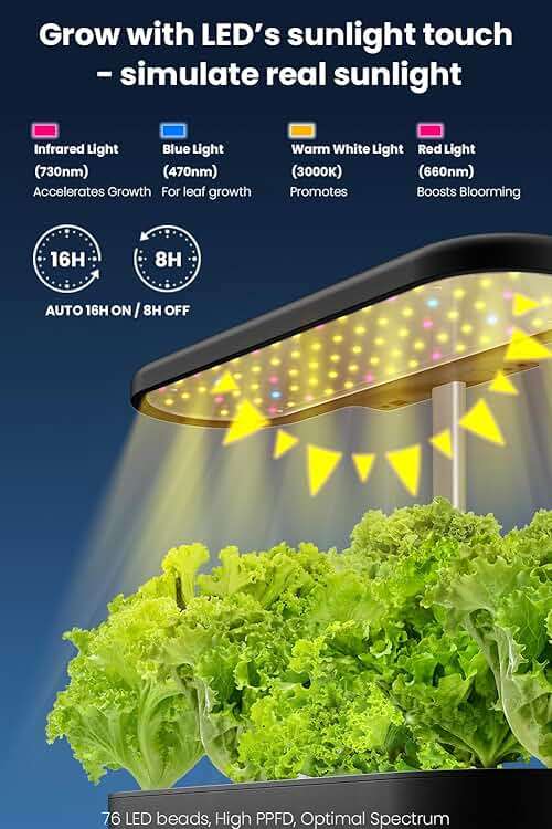 inbloom 12 Pods Hydroponics Growing System Kit, Herb Garden Planter Indoor Kit, Indoor Gardening Hydroponics Growing System with Pods, 4.2L Water Pump, Height Adjustable, Gifts for Woman, Black - Image 4
