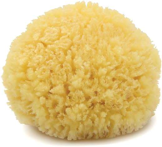 Neptune Caribbean Sea Sponge, Medium (Approx. 5–6 Inch), Natural Bath and Facial Sponge, Soft Eco-Friendly Exfoliating Sponge for Gentle Cleansing and Spa-Like Skin Care - Image 1