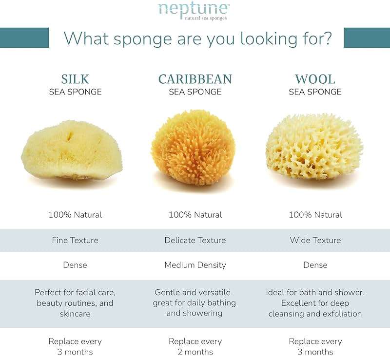 Neptune Caribbean Sea Sponge, Medium (Approx. 5–6 Inch), Natural Bath and Facial Sponge, Soft Eco-Friendly Exfoliating Sponge for Gentle Cleansing and Spa-Like Skin Care - Image 4