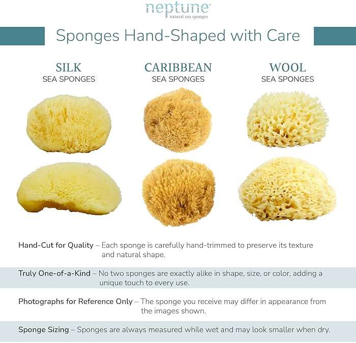 Neptune Caribbean Sea Sponge, Medium (Approx. 5–6 Inch), Natural Bath and Facial Sponge, Soft Eco-Friendly Exfoliating Sponge for Gentle Cleansing and Spa-Like Skin Care - Image 5