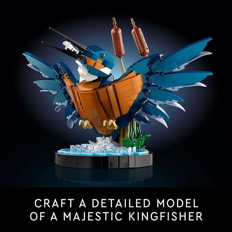 LEGO Icons Kingfisher Bird Model, Creative Set for Adults to Build and Display, Relaxing Project for Bird Lovers & Enthusiasts, Ideal Gift for Home and Office Décor, 10331 - Image 3