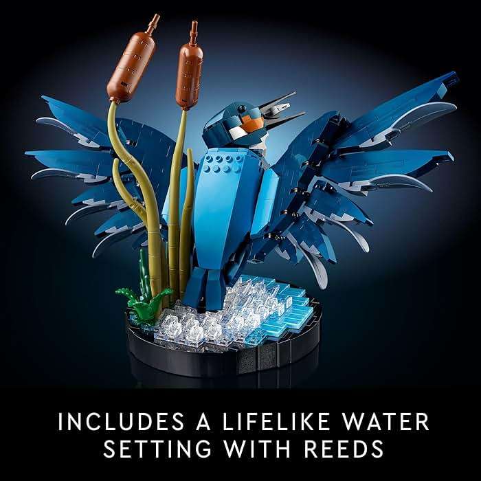 LEGO Icons Kingfisher Bird Model, Creative Set for Adults to Build and Display, Relaxing Project for Bird Lovers & Enthusiasts, Ideal Gift for Home and Office Décor, 10331 - Image 5