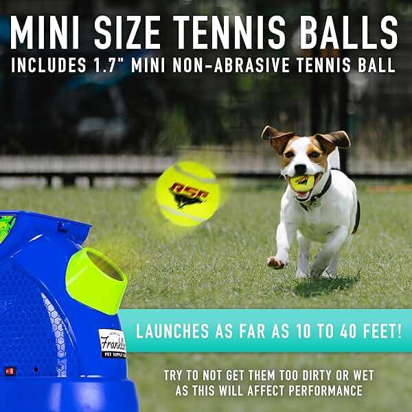 Franklin Pet Supply Co. Ready Set Fetch Mini Automatic Tennis Ball Launcher Dog Toy - Electronic Mini Tennis Ball Thrower for Fetch + Playtime - Launches up to 40 Feet - Interactive Dog Toy - Image 4