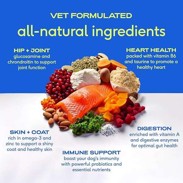 Native Pet The Daily Dog Vitamins & Supplements - 11-in-1 Multivitamin Powder for Dogs - Supports Whole Body Health, Digestion, Mobility & Immunity with Collagen, Glucosamine & Probiotics – 30 Scoops - Image 3
