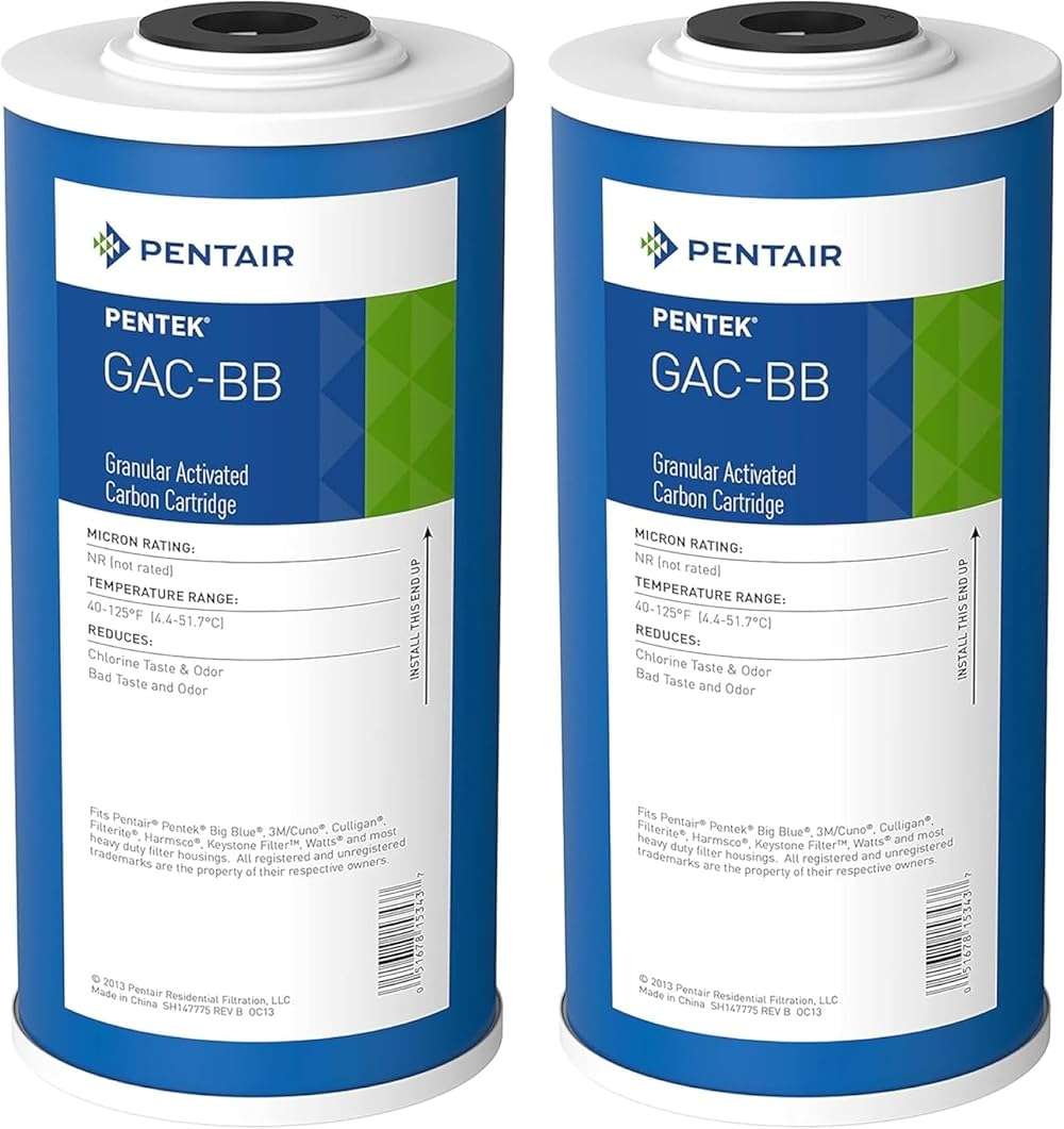 Pentair Pentek GAC-BB Big Blue Carbon Water Filter, 10-Inch, Whole House Heavy Duty Granular Activated Carbon (GAC) Replacement Cartridge, 10" x 4.5", Pack of 2 - Image 1