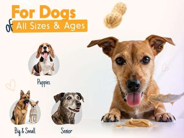 BUDDY BUDDER 6 Pack Mixed Flavor Squeeze Packs, 100% Natural Dog Peanut Butter, Healthy Peanut Butter Dog Treats, Made in USA, (4oz Packs) - Image 6