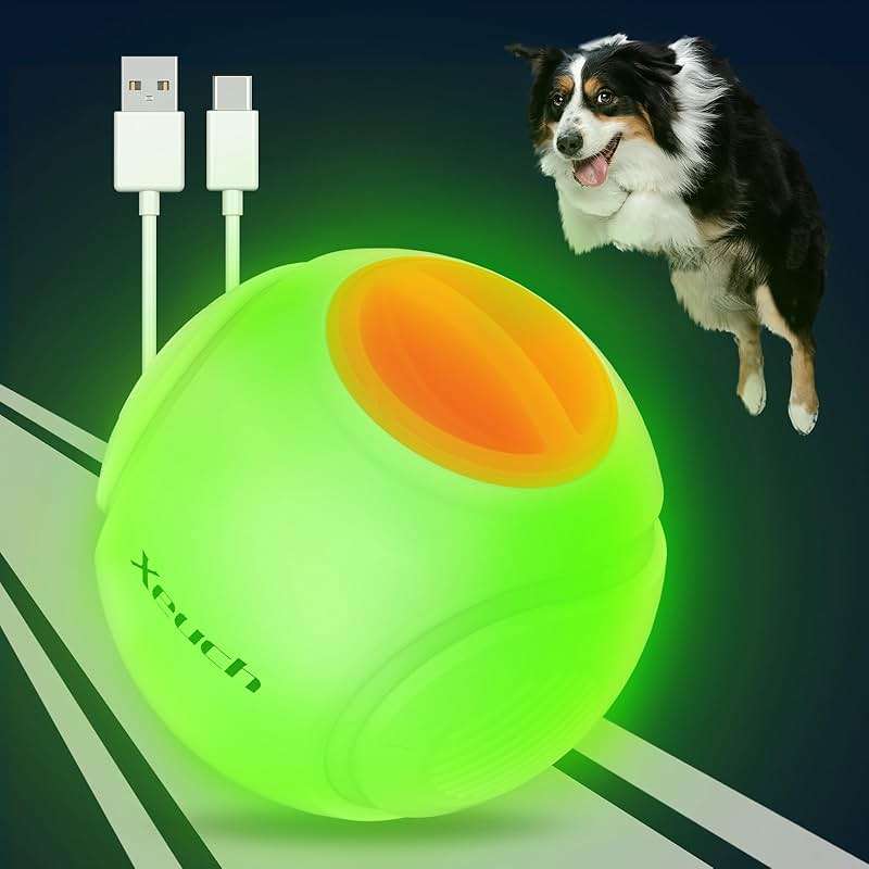 Xeuch LED Dog Ball Rechargeable, Light Up Dog Ball Toys, Bounce-Activated Durable Fetch Ball, Natural Rubber, Unique Scent, 2.5 inches, for Small & Medium Dogs (Orange) - Image 1