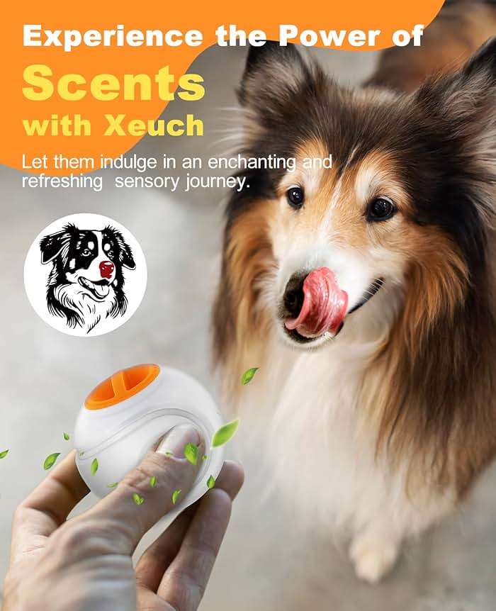 Xeuch LED Dog Ball Rechargeable, Light Up Dog Ball Toys, Bounce-Activated Durable Fetch Ball, Natural Rubber, Unique Scent, 2.5 inches, for Small & Medium Dogs (Orange) - Image 7