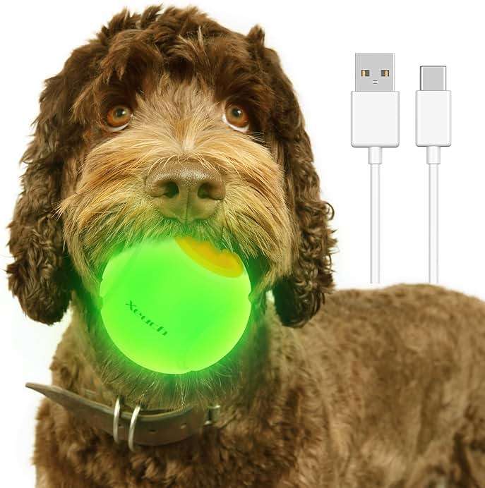 Xeuch LED Dog Ball Rechargeable, Light Up Dog Ball Toys, Bounce-Activated Durable Fetch Ball, Natural Rubber, Unique Scent, 2.5 inches, for Small & Medium Dogs (Orange) - Image 8
