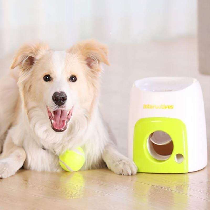 Zerodis Snack, Interactive Dog Ball Thrower Indoor Outdoor Toy for Small to Large Dogs (Green) - Image 4