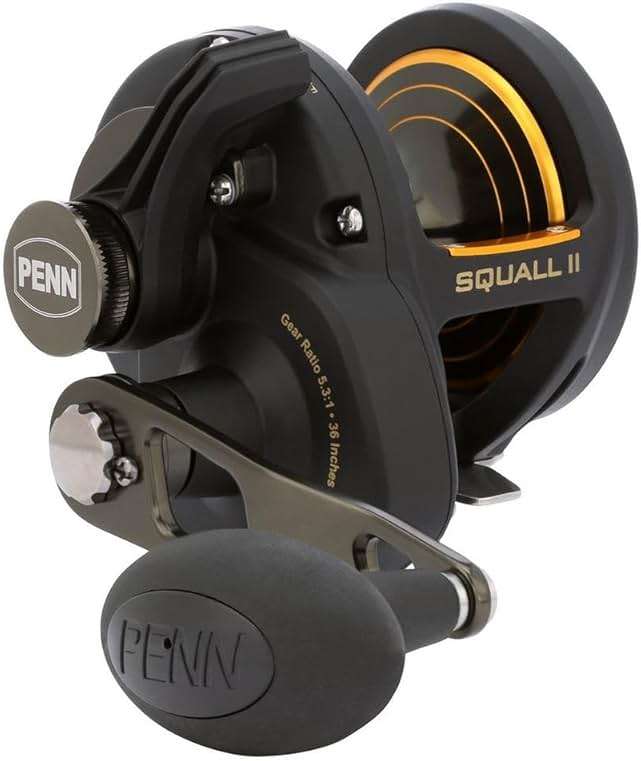 PENN Squall II Lever Drag Fishing Reel, Size 25, Graphite Body and Sideplates, Stainless Steel Main and Pinion Gears, Powerful PENN Dura-Drag - Image 1