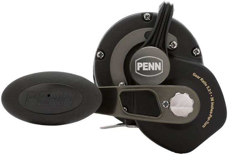 PENN Squall II Lever Drag Fishing Reel, Size 25, Graphite Body and Sideplates, Stainless Steel Main and Pinion Gears, Powerful PENN Dura-Drag - Image 3