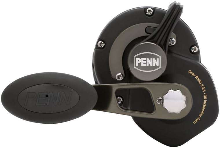Penn Squall II Level Wind Conventional Fishing Reel - Image 3