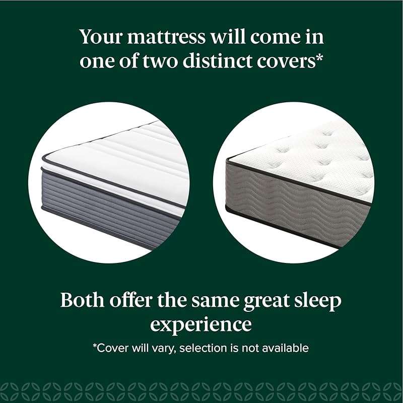ZINUS 10 Inch True Support Hybrid Mattress [New Version], Queen, Fiberglass Free, Medium Feel, Motion Isolation, Certified Safe Foams & Fabric, Mattress in A Box - Image 3