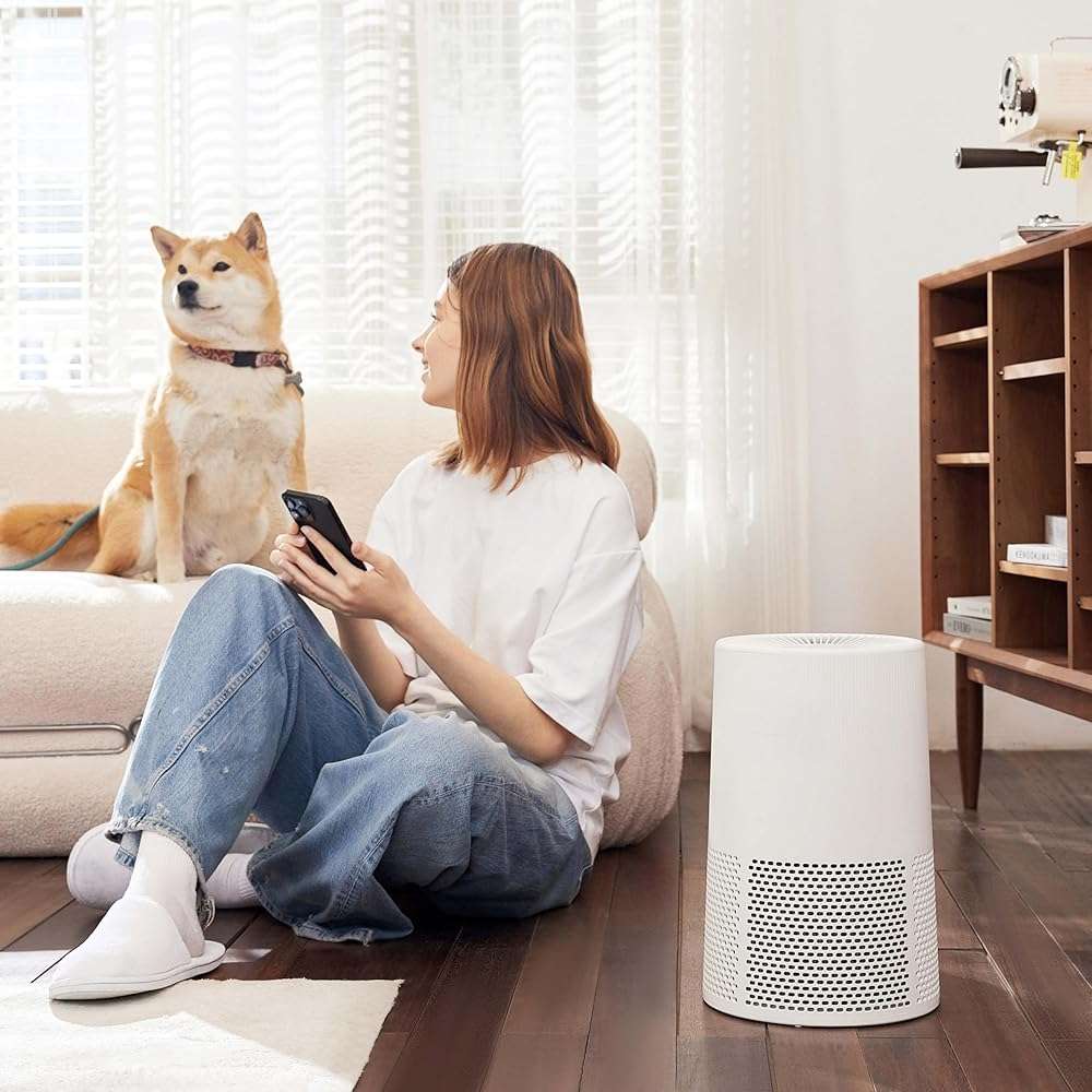 Amazon Basics Air Purifier for Home and Office, With Activated Carbon, 3 Speeds, Timer, Sleep Mode (32db), Energy Star Certificate, Covers Up to 1067 Sq ft, White - Image 6