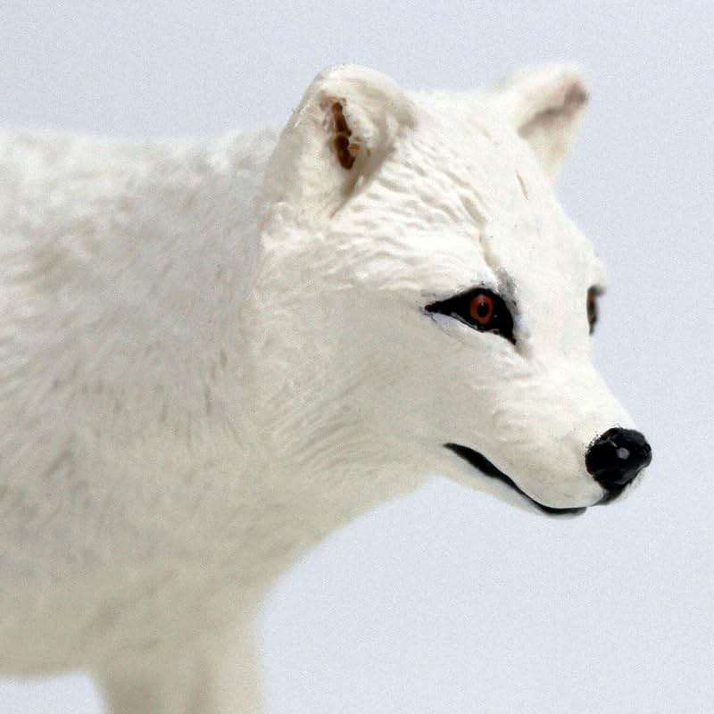 Safari Ltd. Arctic Fox Toy Figure | North American Wildlife Collection | Non-Toxic and BPA Free | Toy Animals | Suitable for Ages 3 and Up - Image 4