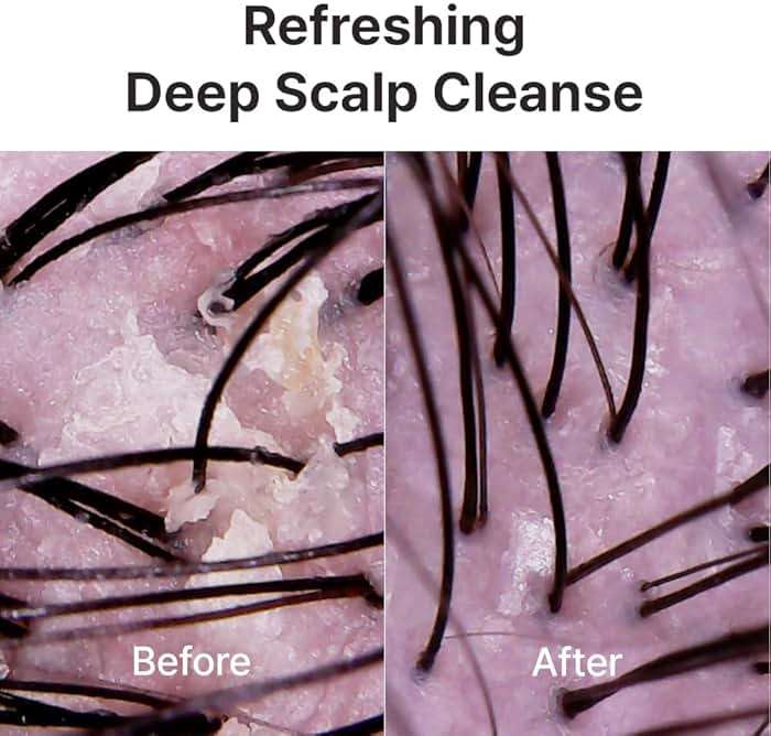 D’AEQ Shampoo Bar w/Jeju Cherry Blossom Scent | Gentle Deep Cleanser Infused w/Argan Oil & Coconut Oil, Natural Shine for All Hair Types | Silicone-Free & Sulfate-Free | Made in Korea | 3.0oz - Image 2