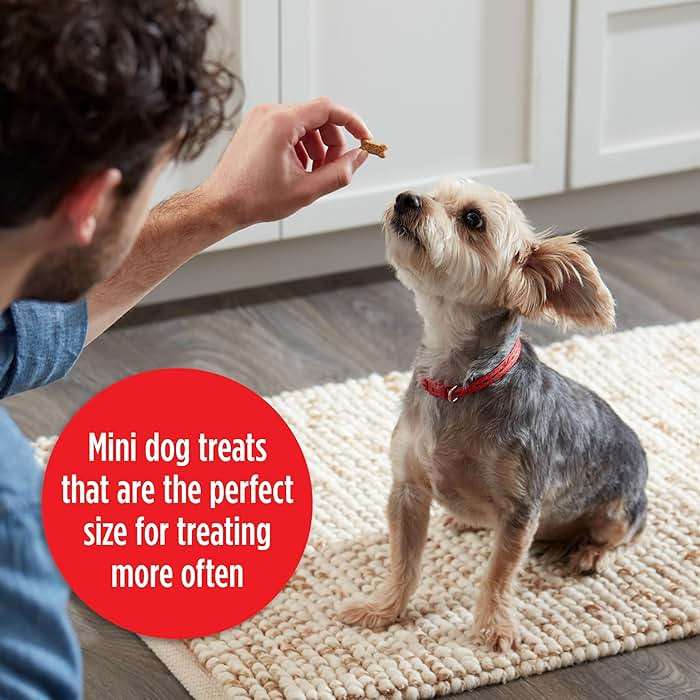 Milk-Bone Soft & Chewy Mini’s Dog Treats, Made with Real Chicken, 18 Ounce Canister - Image 4
