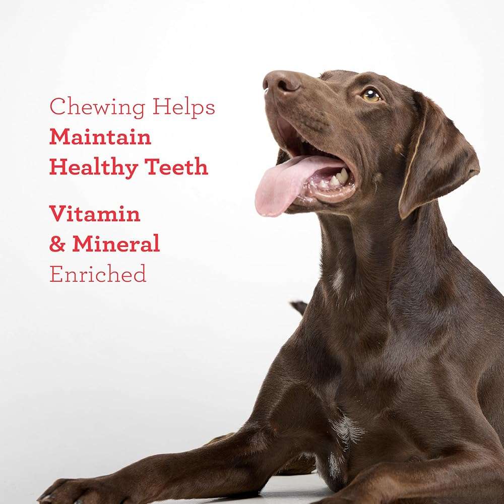 DreamBone Chicken Wrapped Sirloin Twist Stick Dog Treats, Daily Rawhide-Free Chew, Digests Safely and Completely, with Real Protein, Chicken, Sirloin and Veggies, 15 Count - Image 8