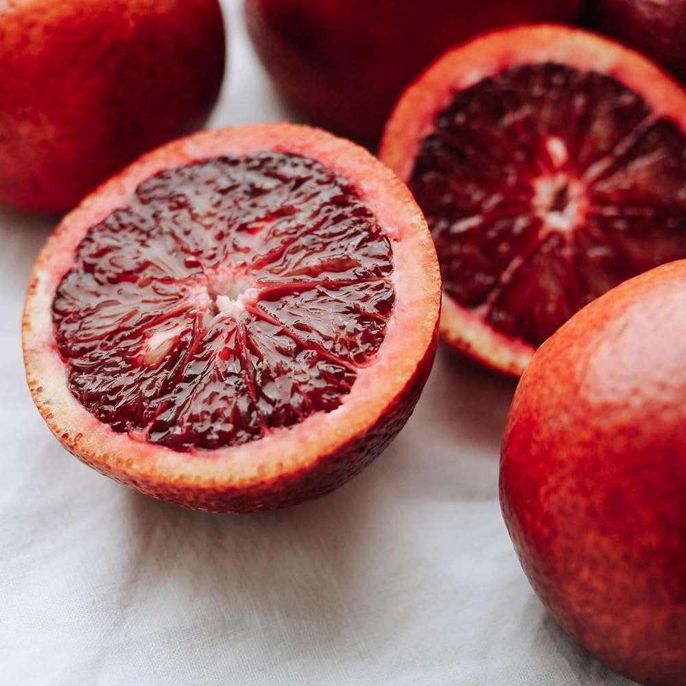 Drink Botanicals Ireland Dried Blood Orange Slices Wheels | 50+ Slices | 100% Natural | For Cocktail Garnishing, Wreath, Cakes, Snacking, Infusions, Desserts | 5.29 oz, 150 Grams | Recyclable PET Jar - Image 7