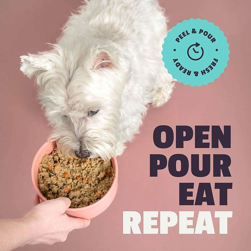TOP SHELF DOG Fresh Beef Dog Food | Kibble Topper or Complete Meal | Human Grade Ingredients | Shelf Stable No Prep | Picky Eaters, Sensitive Stomachs, Seniors & Puppies | 6 x 8.75oz Cartons - Image 9