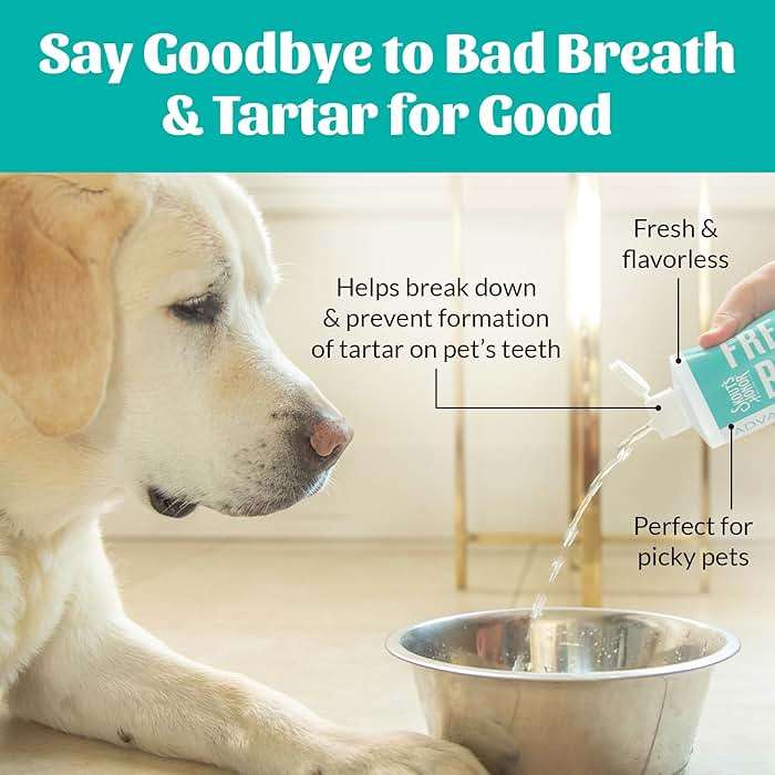 SKOUT'S HONOR Fresher Breath Water Additive, Fresh and Flavorless - VOHC Accepted for Tartar Control, Freshens Breath Fast, No Brushing Required, Great for Both Cats and Dogs, 32 oz - Image 5