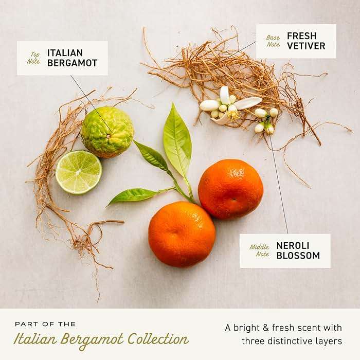 Cremo Body Wash Men, Notes of Italian Bergamot, Neroli Blossom, and Fresh Vetiver, Rich-Lathering Italian Bergamot, 16 Fl Oz - Image 6