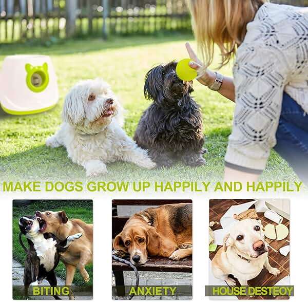 BESTHLS Automatic Dog Ball Launcher Interactive Tennis Ball Thrower Machine for Small Medium Dogs Fetching Distance 10-30ft (White2, Remote Included) - Image 5