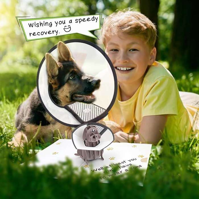 mmuue Funny Pop Up Get Well Soon Card, Humorous 3D Speedy Surgery Recovery Card for Friends Patient, Lovely Sympathy Cards for Men Women, At Least You Don't Have to Wear A Cone, Pug Cone Card - Image 4