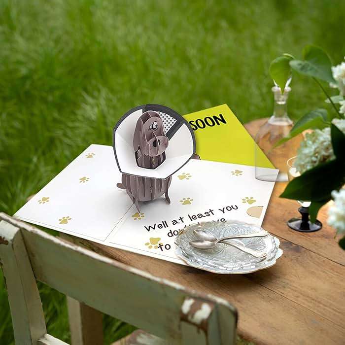 mmuue Funny Pop Up Get Well Soon Card, Humorous 3D Speedy Surgery Recovery Card for Friends Patient, Lovely Sympathy Cards for Men Women, At Least You Don't Have to Wear A Cone, Pug Cone Card - Image 6