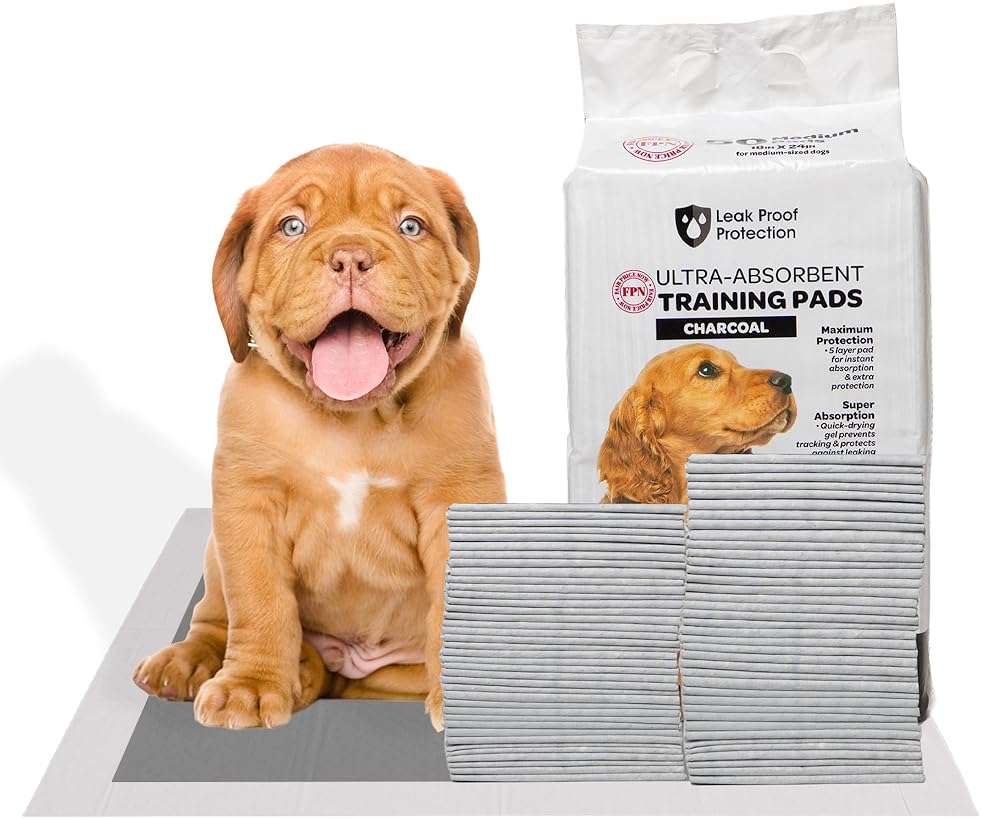 FPN Puppy Pads for Dogs 100 Count Charcoal Small 13X18 Inch | Disposable Pee Pads for Puppies & Small Dogs | Pet Training Pads for Potty Training, Small Dog Pee Pads, Puppy Pads Bulk - Image 1