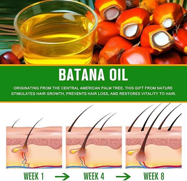 Dvoevivh 100% Cold-Pressed Batana Oil – Pure Hair Growth & Repair Oil, 60 ml | Natural & Chemical-Free Deep Nourishing Treatment for Scalp, Split Ends & Dry Hair (2.02 Fl Oz （Pack of 1）) - Image 4