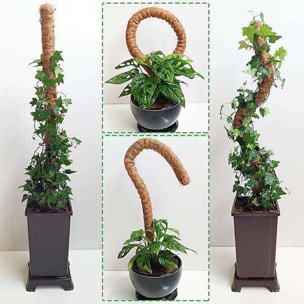 2 Pack Moss Pole, 28 Inch Bendable Moss Pole for Plants Monstera, Moss Poles for Climbing Plants Indoor, Coir Plant Pole Sticks Support Stakes for Potted Plant, Pothos, Philodendron - Image 2