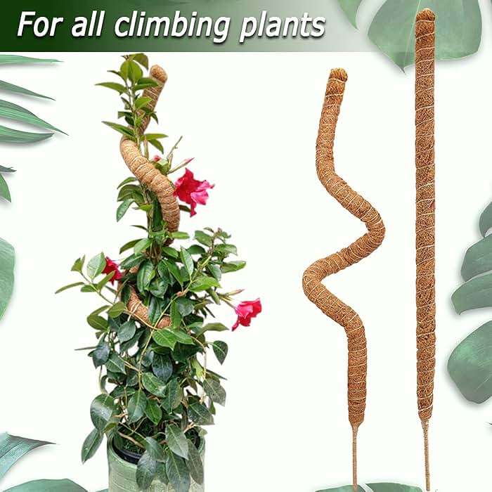 2 Pack Moss Pole, 28 Inch Bendable Moss Pole for Plants Monstera, Moss Poles for Climbing Plants Indoor, Coir Plant Pole Sticks Support Stakes for Potted Plant, Pothos, Philodendron - Image 5